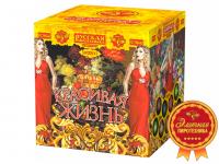 Красивая жизнь Фейерверк купить #REGION_NAME_DECLINE_PP# | #REGION_TAG_VSTAVKA_TAYT#