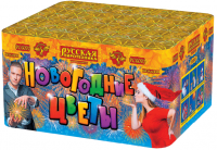 Новогодние цветы Фейерверк купить в Великом Новгороде | velikij-novgorod.salutsklad.ru