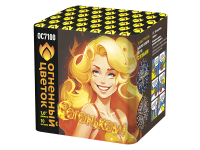 С огоньком! Фейерверк купить в Великом Новгороде | velikij-novgorod.salutsklad.ru