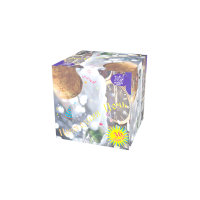 Новогодняя ночь Салют купить в Великом Новгороде | velikij-novgorod.salutsklad.ru