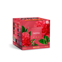 Пионы Салют купить в Великом Новгороде | velikij-novgorod.salutsklad.ru