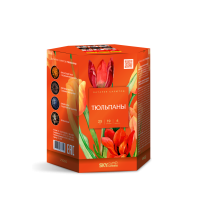Тюльпаны Салют купить в Великом Новгороде | velikij-novgorod.salutsklad.ru