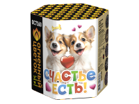 Счастье есть! Салют купить в Великом Новгороде | velikij-novgorod.salutsklad.ru