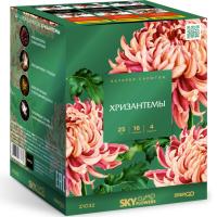 Хризантемы Фейерверк купить в Великом Новгороде | velikij-novgorod.salutsklad.ru