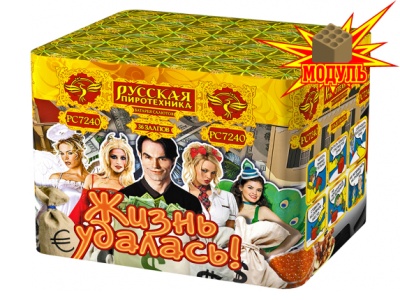 Жизнь удалась Фейерверк купить в Великом Новгороде | velikij-novgorod.salutsklad.ru