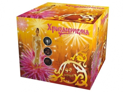 Хризантема Салют купить в Великом Новгороде | velikij-novgorod.salutsklad.ru