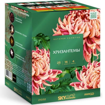 Хризантемы Фейерверк купить в Великом Новгороде | velikij-novgorod.salutsklad.ru