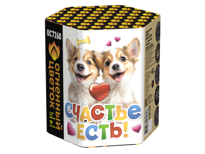 Счастье есть! Салют купить в Великом Новгороде | velikij-novgorod.salutsklad.ru