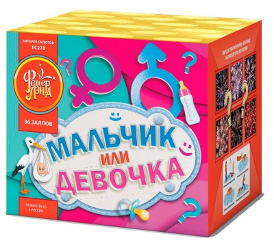 Мальчик или девочка М Фейерверк купить в Великом Новгороде | velikij-novgorod.salutsklad.ru